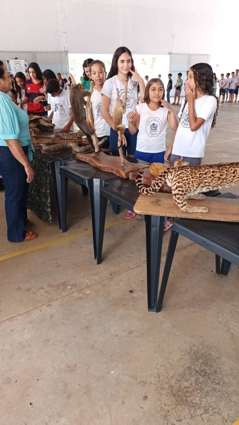 WhatsApp Image 2025-11-14 at 17.09.50.jpeg